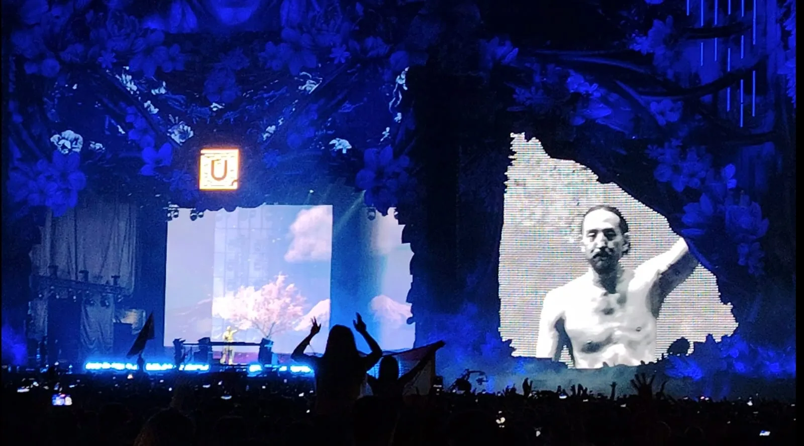 Steve Aoki performing at Untold Festival 2024 in Cluj-Napoca, Romania
